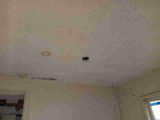 Testing again(18).jpg